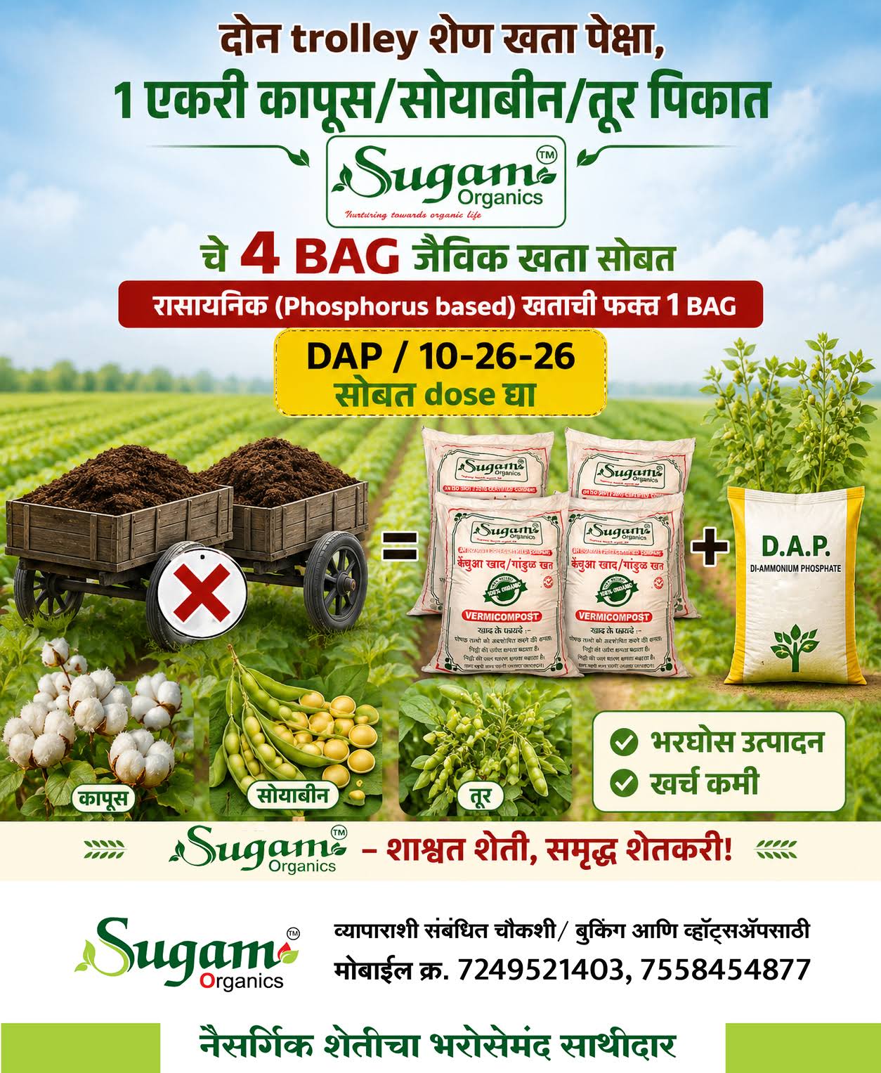Social Media Graphics in Nagpur product image