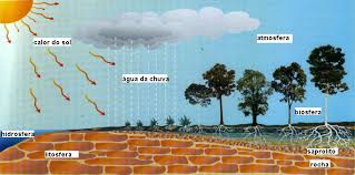 Célia Neves Obede Borges Faria