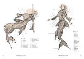 The Resurrectionist The Lost Work Of Dr Spencer Black E B Hudspeth 9781594746161 Amazon Com Books Animali Creature Mitologiche Animali Fantastici