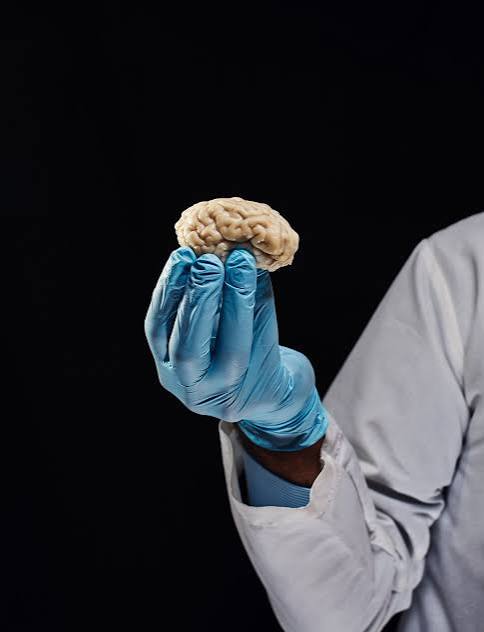 Scientists Are Giving Dead Brains New Life. What Could Go Wrong? - The New  York Times