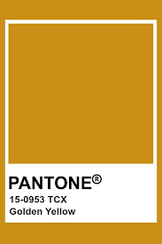 Pantone Golden Yellow Pantone Colour Palettes Pantone Color Yellow Pantone