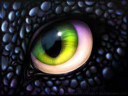 Beautifull Eye Photos Line Drawings And Conceptual Art Masterpieces 1dut Com 1 Png 533 400 Dragon Eye Eyes Wallpaper Photos Of Eyes