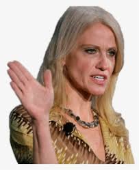 Kellyanne Conway Holding Up Hand