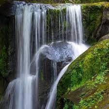 Maybe you would like to learn more about one of these? Parque Nacional Los Dinamos Que Hacer Y Como Llegar