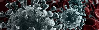 Hepatitis delta virus inhibits alpha interferon signaling paolo pugnale, valerio pazienza, k?vin guilloux, francesco negro hepatology february 2009; Coronavirus Covid 19 Phe Publishes Update About Delta Variant Lexisnexis Blogs