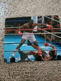 Teddy Randolph Boxing 8" x 10" Original Vintage Photograph B550