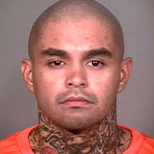 Remains of missing woman identified