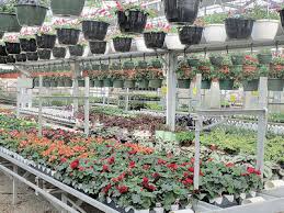 The greenhouse effect