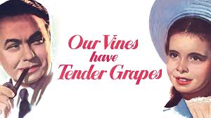 Watch Our Vines Have Tender Grapes