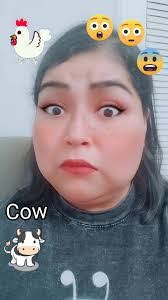 Chris Dirito's Instagram, Twitter & Facebook