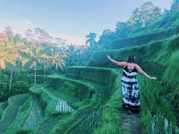 Bali zoo, kampung sumatra, singapadu, гианьяр, бали, индонезия. How To Plan The Perfect Bali Itinerary 7 Days 3 Weeks Taylor S Tracks