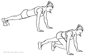 Mountain Climbers Alternating Knee Ins Mountain Climber Exercise Lower Abs Workout Ab Workout At Home