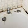 Ideas → how to remove mold from tile grout images. 1