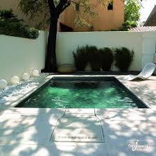 Piscine Enterree Exterieure Creusee Piscines Desjoyaux Piscine Amenagement Paysager Mini Piscine Petite Piscine