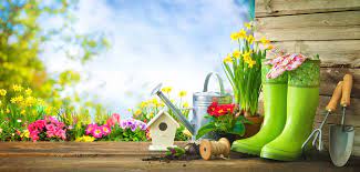 Sie könnten mit einem starken wachstum und einer guten blüte belohnt werden. Garten Im Fruhling Todos Fur Den Start In Die Neue Gartensaison