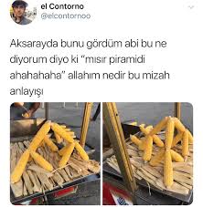 Piramit Amerikan Misirindan Yapilinca Ahanda Boyle Hayvan Gibi Bisey Oluyo Komik Seyler Mizah Komik