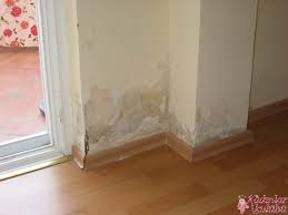 Rutubetin oluşturduğu kötü görüntü kadar kokusu da çirkindir. Rutubet Onleyici Boya Kadinlar Kulubu