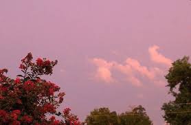 Pastel Rosa Aesthetic Wallpaper Tumblr Novocom Top