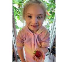 The iHarvest® Complete Package