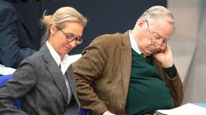 Eine politikerin hat ausgepackt und gesagt was sie weiß! Das Sind Die Afd Politiker Im Bundestag Waz De