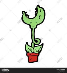 We did not find results for: Venus Fly Trap Vector Photo Free Trial Bigstock