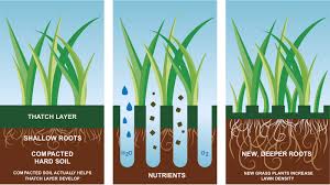 However once it is thoroughly moist, it will become soft. How Soil Compaction Affects Your Lawn And What You Can Do About It Premier Lawns
