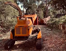 Tree Removal Croydon | Qualified Local Arborists | ARK Arborists