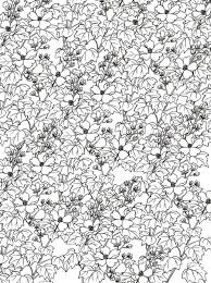 Kleurplaat Coloring Page Flowers For Adults Flowers For Adults Coloring Pages Flower Coloring Pages Blank Coloring Pages