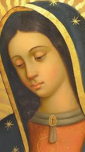 43 ideas de LA ROSA DE GUADALUPE