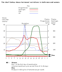 Progesterone Therapy