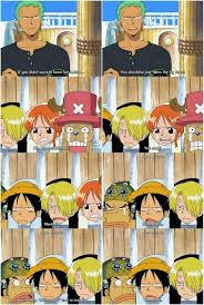 Luffy Tries To Insult Zoro One Piece Funny One Piece Meme One Piece Anime