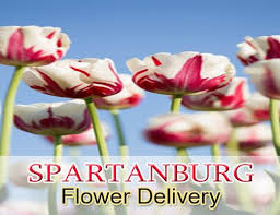 Se suite 6, rochester minnesota 55904 phone: The 8 Best Options For Flower Delivery In Rochester Minnesota 2021