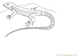 Here are top 10 lizard coloring pages to print for your kid: Lizard Coloring Page For Kids Free Lizard Printable Coloring Pages Online For Kids Coloringpages101 Com Coloring Pages For Kids