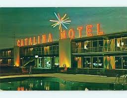 Unused Pre 1980 Pool Catalina Motel Lexington Kentucky Bidstart Item 55242618 In Postcards Lexington Lexington Kentucky Lexington Lexington Ky