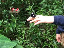 ʒaʁdɛ̃ dɛ plɑ̃t də paʁi) when distinguished from other jardins des plantes in other cities, is the main botanical garden in france. Le Jardin Des Papillons Le Teich 2021 All You Need To Know Before You Go With Photos Tripadvisor