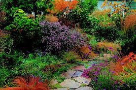 Plant Driven Design Sides With Real Gardeners Garden Rant Plants Xeriscape Landscape Design
