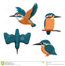 Birds Flying In The Sky Cartoon Images Illustration About Animal Cartoon Eps10 File Format Illustration Of Kingfisher Cartoon Illustration 1 In 2020 Kingfisher Illustration Kingfisher Art Bird Drawings