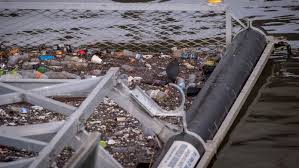 Melbourne S Port Phillip Bay Is Being Trashed With An Estimated 1 4 Billion Pieces Of Rubbish Flowing Into T Marine Ecosystem Marine Debris Marine Environment