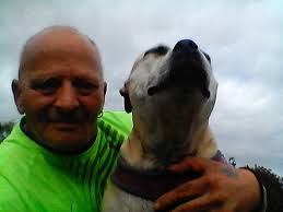 As the mists of time flow through, the swallows of Summer have left for  warmer climes. The leaves of last year that hung from the branched fingers  of trees now lay mulched