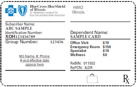 Products with prefix xyw are purchased from the health insurance marketplace. Https Www Bcbsil Com Pdf Standards Manual Hmo Membership Information Pdf