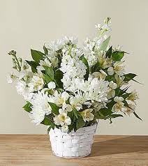 Deborah Currie Obituary (2022)