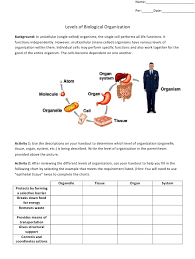 Levels Of Biological Organization Worksheet Biology 231