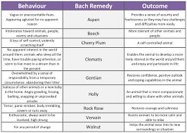 Bach Flower Remedies For Dogs Behaviour Modification