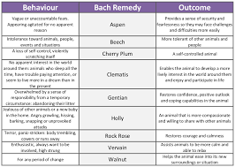 bach flower remedies for dogs behaviour modification