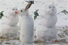 We did not find results for: Kocak Sekaligus Gemas Kelinci Ini Makan Wortel Hiasan Hidung Manusia Salju Yang Ada Di Halaman Rumah Warga Semua Halaman Bobo