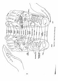 Barbara Brennan Hands Of Light Hands Of Light Energy Healing Barbara