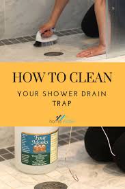 Learn How To Clean Your Shower Drain Trap With These Easy Diy Techniques Ranging From A Simple Coat Hanger All Shower Drain Clean Shower Drain Shower Cleaner