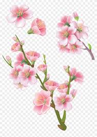 Bunga png, transparent png is free transparent png image. Sakura Png Transparent Png 4471x6126 926914 Pngfind