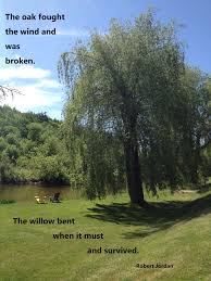 But when her daughter was killed by a reckless driver, sandy fell into the depths of. Reading Resources Choose 2 Be Resilient