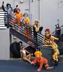 The original broadway production ran from october 7, 1982 to september 10, 2000 at the winter garden theatre. Cats Broadway Bound Musical Theatre Company